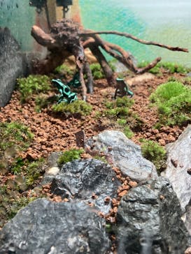 マクセル アクアパーク品川に投稿された画像（2024/7/23）