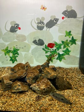 マクセル アクアパーク品川に投稿された画像（2024/7/23）