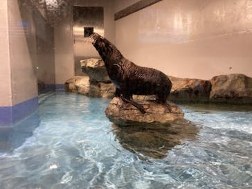 マクセル アクアパーク品川に投稿された画像（2024/7/23）