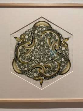 豊田市美術館に投稿された画像（2024/7/23）