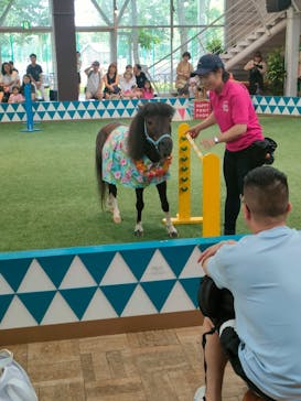 ノーザンホースパークに投稿された画像（2024/7/23）