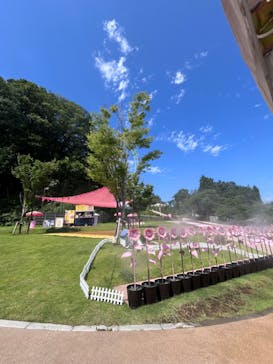 東京サマーランドに投稿された画像（2024/7/23）