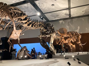 DinoScience 恐竜科学博 ～ララミディア大陸の恐竜物語～ 2024@OSAKAに投稿された画像（2024/7/23）