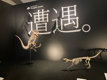 DinoScience 恐竜科学博 ～ララミディア大陸の恐竜物語～ 2024@OSAKAに投稿された画像（2024/7/23）