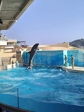 新江ノ島水族館に投稿された画像（2024/7/23）