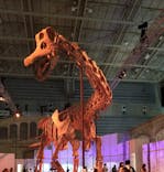 巨大恐竜展2024に投稿された画像（2024/7/23）