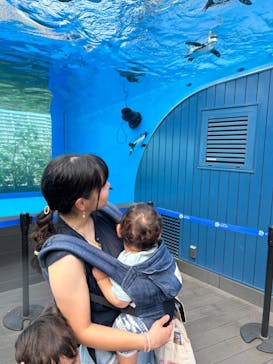 サンシャイン水族館に投稿された画像（2024/7/23）