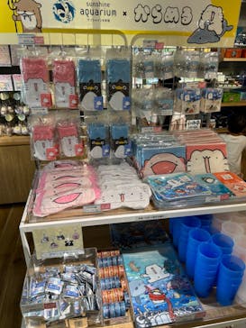 サンシャイン水族館に投稿された画像（2024/7/23）