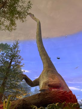 福井県立恐竜博物館に投稿された画像（2024/7/23）