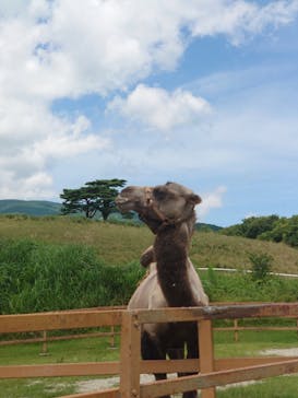 那須どうぶつ王国に投稿された画像（2024/7/23）