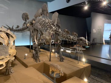 福井県立恐竜博物館に投稿された画像（2024/7/23）