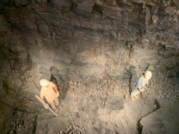 福井県立恐竜博物館に投稿された画像（2024/7/23）