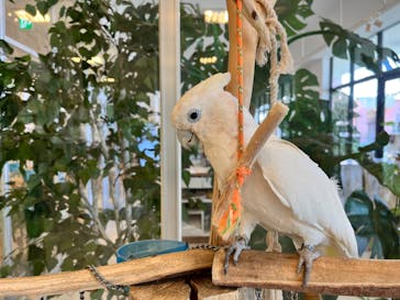 Moff animal world BIGHOPガーデンモール印西店に投稿された画像（2024/7/23）