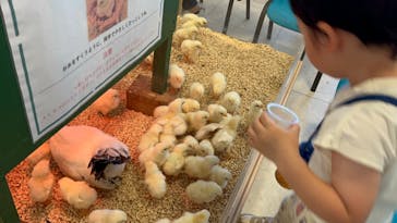 Moff animal world BIGHOPガーデンモール印西店に投稿された画像（2024/7/23）