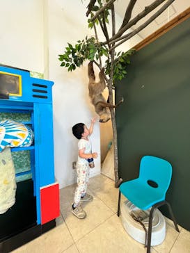 Moff animal world BIGHOPガーデンモール印西店に投稿された画像（2024/7/23）