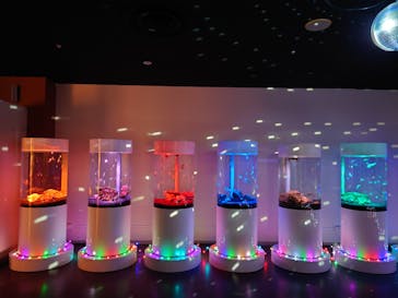 NARA IKIMONO MUSEUMに投稿された画像（2024/7/23）