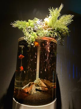 NARA IKIMONO MUSEUMに投稿された画像（2024/7/23）