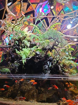 NARA IKIMONO MUSEUMに投稿された画像（2024/7/23）