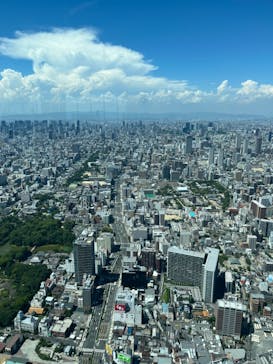 ハルカス300(展望台)に投稿された画像（2024/7/23）