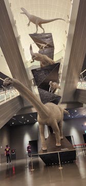 福井県立恐竜博物館に投稿された画像（2024/7/23）