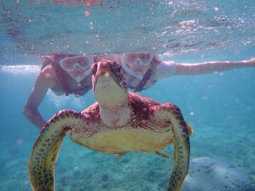 nico 宮古島に投稿された画像（2024/7/23）