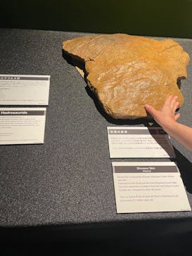 タッチ ザ ダイナソー ～恐竜アドベンチャー展～に投稿された画像（2024/7/23）
