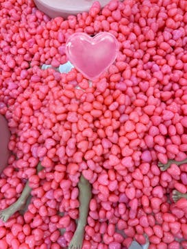 ハピピランド港北ルララに投稿された画像（2024/7/22）