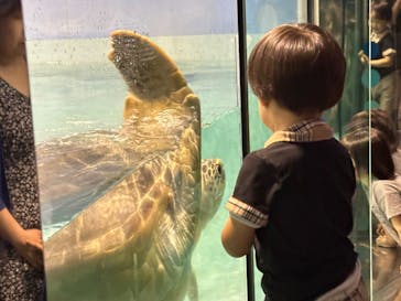 マリンワールド海の中道に投稿された画像（2024/7/23）