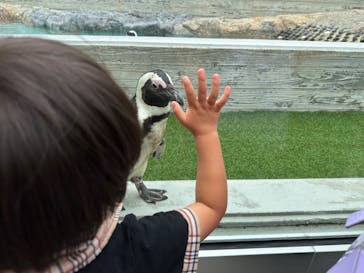 マリンワールド海の中道に投稿された画像（2024/7/23）