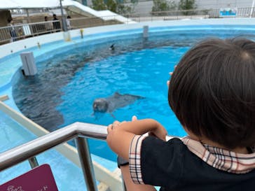 マリンワールド海の中道に投稿された画像（2024/7/23）