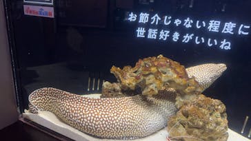 横浜開運水族館 フォーチュンアクアリウムに投稿された画像（2024/7/23）