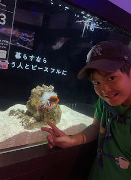 横浜開運水族館 フォーチュンアクアリウムに投稿された画像（2024/7/23）