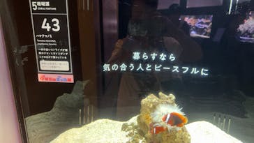 横浜開運水族館 フォーチュンアクアリウムに投稿された画像（2024/7/23）
