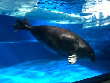 サンシャイン水族館に投稿された画像（2024/7/23）