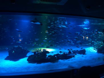 サンシャイン水族館に投稿された画像（2024/7/23）