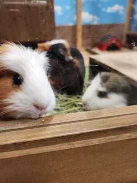 ゼロ距離水族館 伊勢シーパラダイスに投稿された画像（2024/7/23）