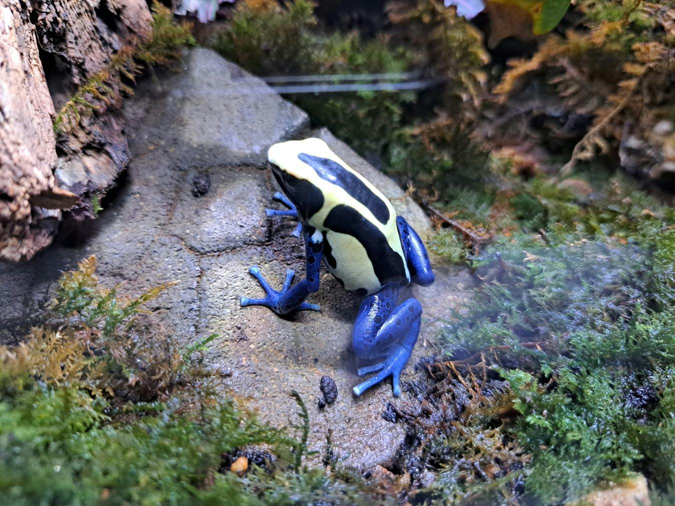 review0002379606-001--d2ada271