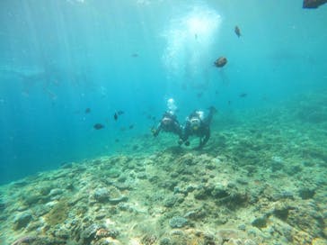 武藤潜水に投稿された画像（2024/7/23）