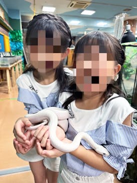 いきもの探検隊上尾に投稿された画像（2024/7/23）