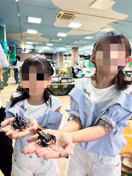 いきもの探検隊上尾に投稿された画像（2024/7/23）