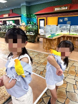 いきもの探検隊上尾に投稿された画像（2024/7/23）