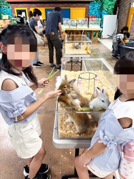 いきもの探検隊上尾に投稿された画像（2024/7/23）