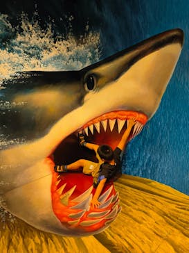 東京トリックアート迷宮館に投稿された画像（2024/7/23）