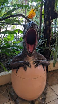 御菓子御殿　名護店　やんばる亜熱帯の森DINO恐竜PARKに投稿された画像（2024/7/23）