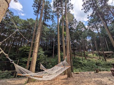 アドベンチャーパーク　オドルの森に投稿された画像（2024/7/23）