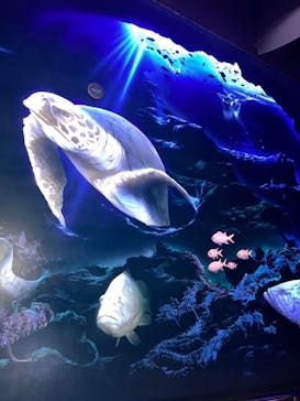 マリンワールド海の中道に投稿された画像（2024/7/23）