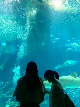 マリンワールド海の中道に投稿された画像（2024/7/23）