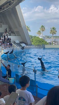 マリンワールド海の中道に投稿された画像（2024/7/23）