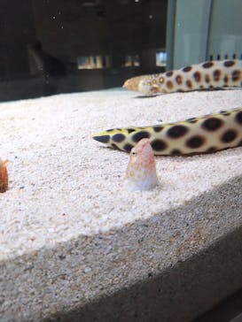 AOAO SAPPOROに投稿された画像（2024/7/23）