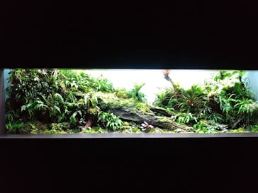 AOAO SAPPOROに投稿された画像（2024/7/23）